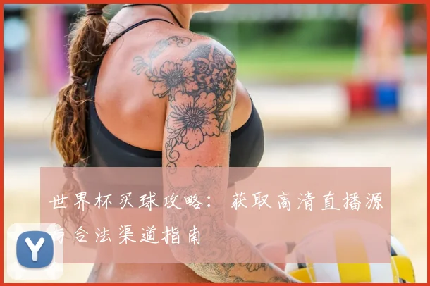 世界杯买球攻略：获取高清直播源与合法渠道指南