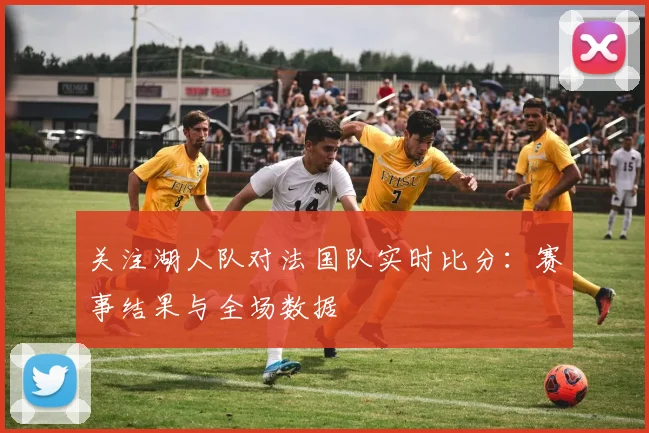 关注湖人队对法国队实时比分:赛事结果与全场数据