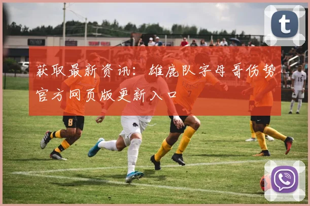 获取最新资讯：雄鹿队字母哥伤势官方网页版更新入口