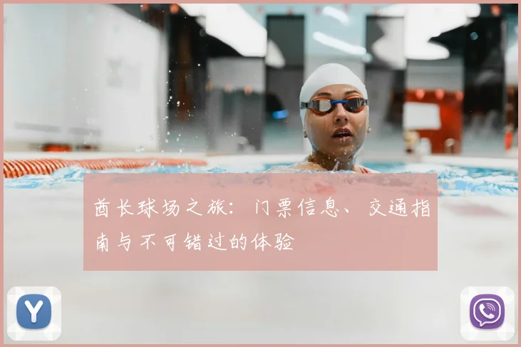 酋长球场之旅：门票信息、交通指南与不可错过的体验