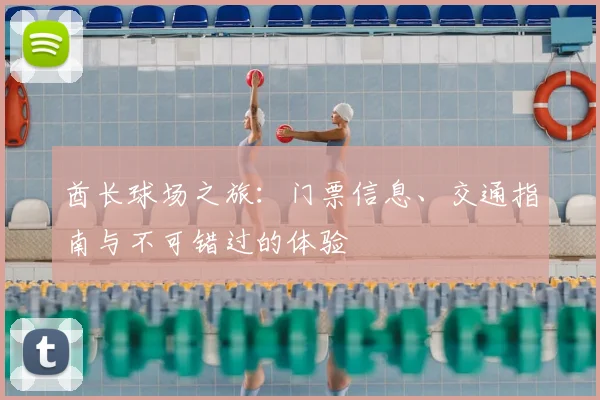 酋长球场之旅：门票信息、交通指南与不可错过的体验