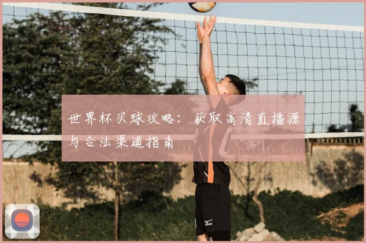 世界杯买球攻略：获取高清直播源与合法渠道指南